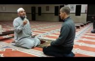 Testimonio de un nuevo musulman de España .