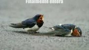 La Realidad de este Vida .