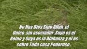 Allah Allah Allah – Nasheed