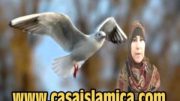 EL inmenso Perdon de Allah.