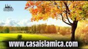 El Islam y La Violencia.