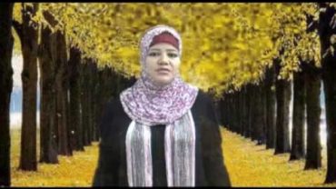 MALES QUE ACONTECERAN A LOS MUSULMANES DURANTE LOS ULTIMOS DIAS