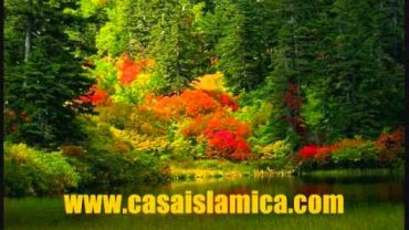 Entre Los Musulmanes .