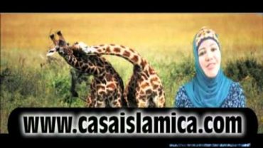 Guardar Los Mandatos del Creador.