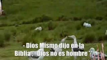 Jesus es un Mediador