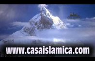 Hajj en vivo hoy | Makkah el dia de Arafat