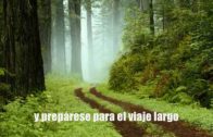 El Nombre De Dios En El Viejo Testimonio.